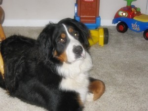 Ain't I a good looking boy!