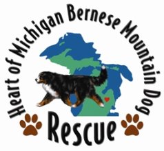 Heart of Michigan Bernese Mountain Dog Rescue